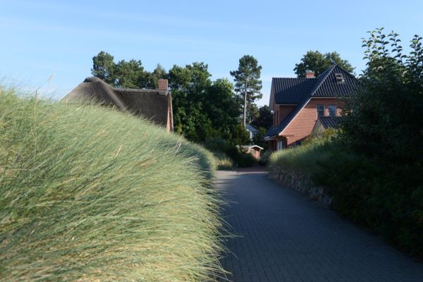 country road