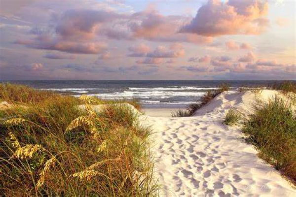 Path through Dunes